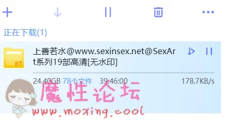 QQ图片20190514102500.png